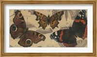 Bold Butterfly Panel I Fine Art Print