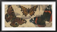 Bold Butterfly Panel I Fine Art Print