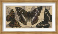 Bold Butterfly Panel II Fine Art Print