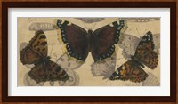 Bold Butterfly Panel III Fine Art Print