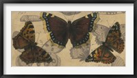 Bold Butterfly Panel III Fine Art Print