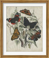 Butterfly Haven I Fine Art Print