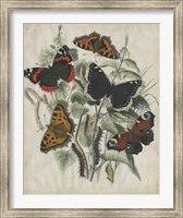 Butterfly Haven I Fine Art Print
