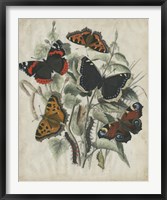 Butterfly Haven I Framed Print