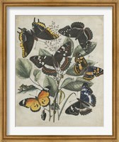 Butterfly Haven II Fine Art Print