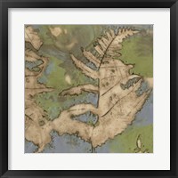 Fern Lake I Framed Print