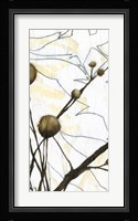 Willow Blooms I Fine Art Print