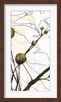 Willow Blooms I Fine Art Print