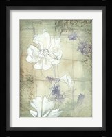 Poppy Whisper II Framed Print