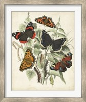 Non-Embellished Butterfly Haven I Fine Art Print