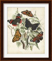 Non-Embellished Butterfly Haven I Fine Art Print