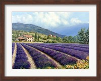 Fields Of Lavender Fine Art Print