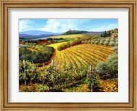 Chianti Vineyards Fine Art Print