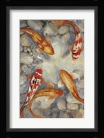 Vibrant Koi I Fine Art Print