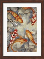 Vibrant Koi I Fine Art Print