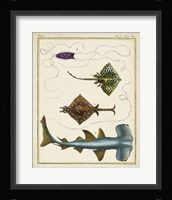 Antique Rays & Fish I Framed Print