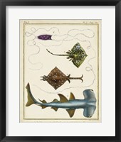 Antique Rays & Fish I Fine Art Print