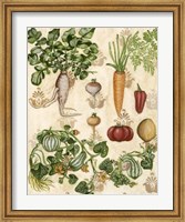 Edible Botanical I Fine Art Print