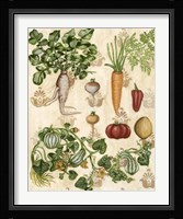 Edible Botanical I Fine Art Print