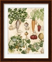Edible Botanical I Fine Art Print