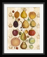 Edible Botanical II Fine Art Print