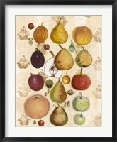 Edible Botanical II Fine Art Print