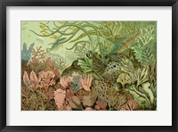 Seaweed Panorama Fine Art Print
