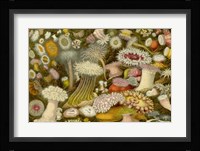 Sea Anemone Panorama Framed Print