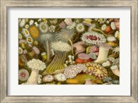 Sea Anemone Panorama Fine Art Print