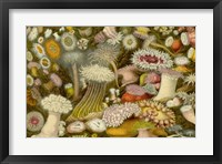 Sea Anemone Panorama Fine Art Print