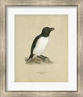 Antique Penguin I Fine Art Print