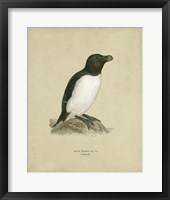 Antique Penguin I Fine Art Print