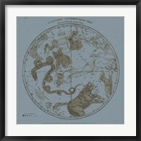 Northern Circumpolar Map Fine Art Print