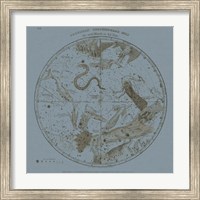 Southern Circumpolar Map Fine Art Print