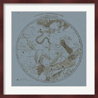 Southern Circumpolar Map Fine Art Print
