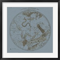 Southern Circumpolar Map Fine Art Print