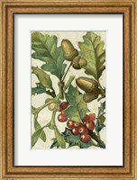 Fruits & Foliage II Fine Art Print