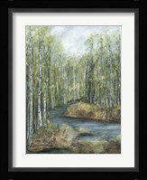 Adventure I Framed Print