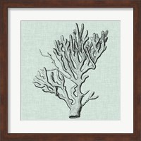 Serene Coral III Fine Art Print