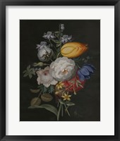 Dramatic Bouquet III Fine Art Print