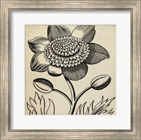 Graphic Floral III Fine Art Print