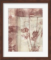 Framed Blossoms I Fine Art Print