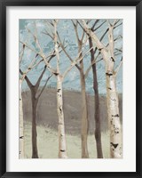 Blue Birches I Fine Art Print