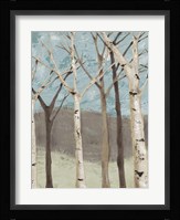 Blue Birches I Fine Art Print