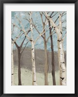 Blue Birches I Fine Art Print