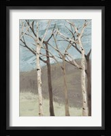Blue Birches II Fine Art Print