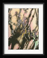 The Senator I Framed Print