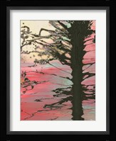 The Senator II Framed Print