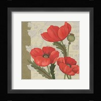 Paris Poppy I Framed Print