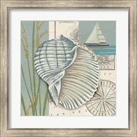 Seaside Shell I Fine Art Print